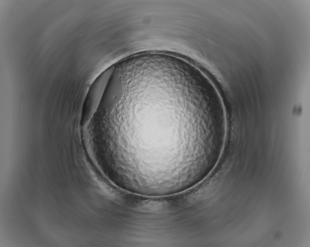X0000091211513200708161532