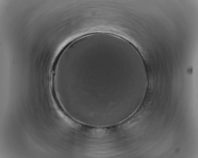 X0000091211515200708161532