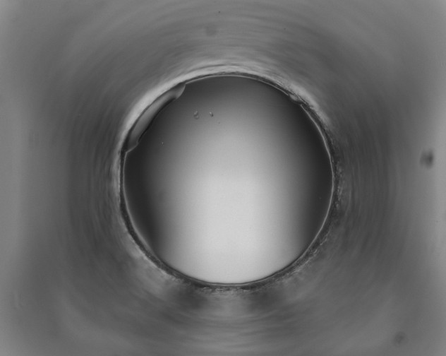 X0000091211516200708161532