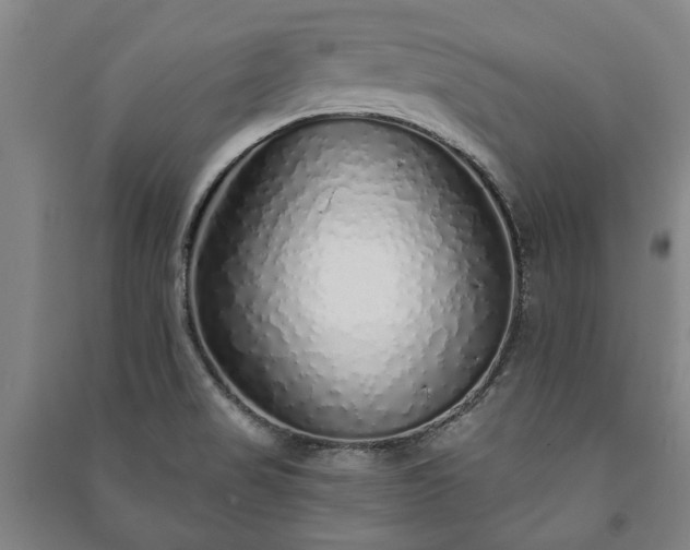 X0000091211517200708161532