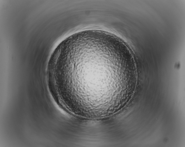 X0000091211519200708161532
