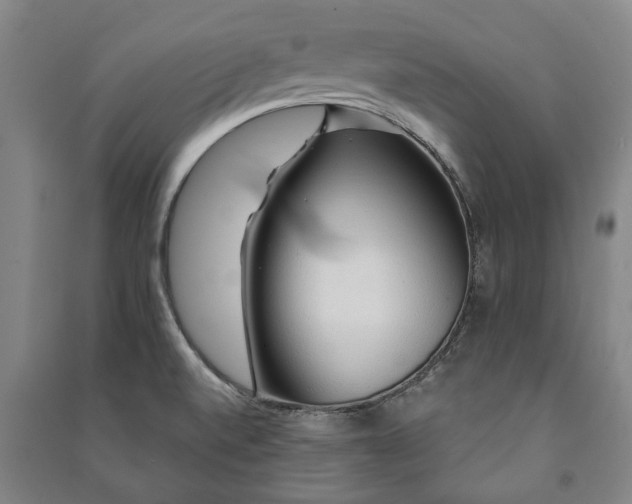X0000091211520200708161532