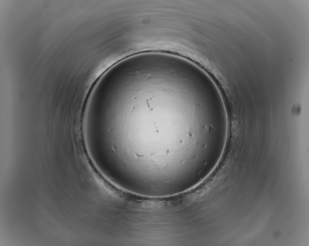 X0000091211521200708161532