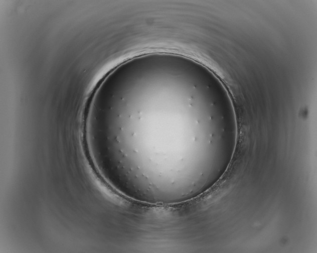 X0000091211523200708161532