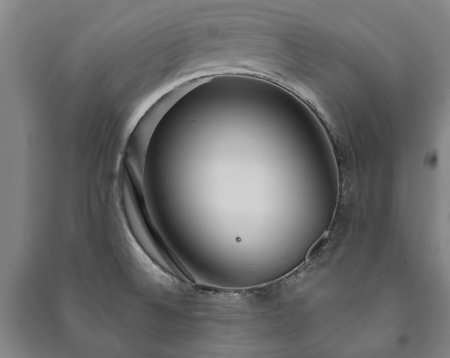 X0000091211524200708161532