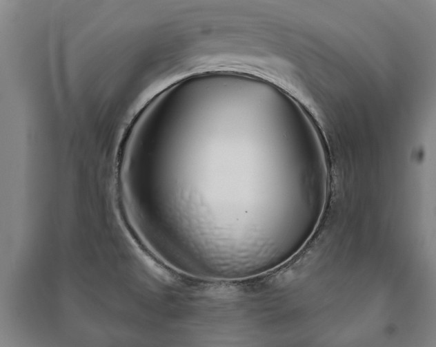 X0000091211525200708161532