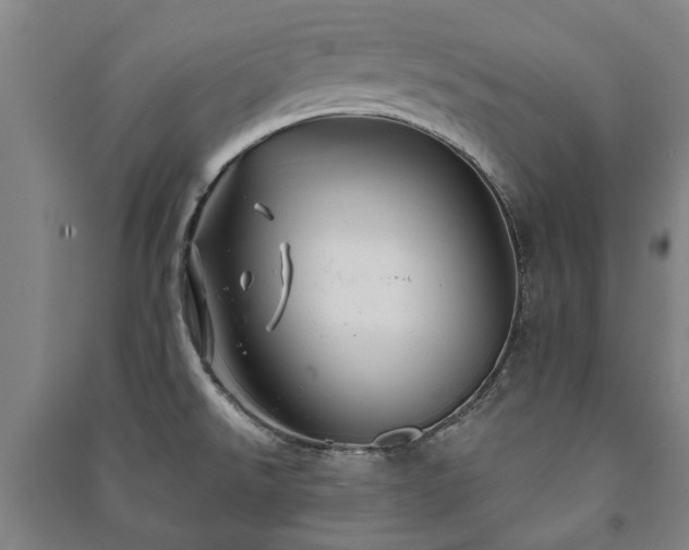 X0000091211526200708161532