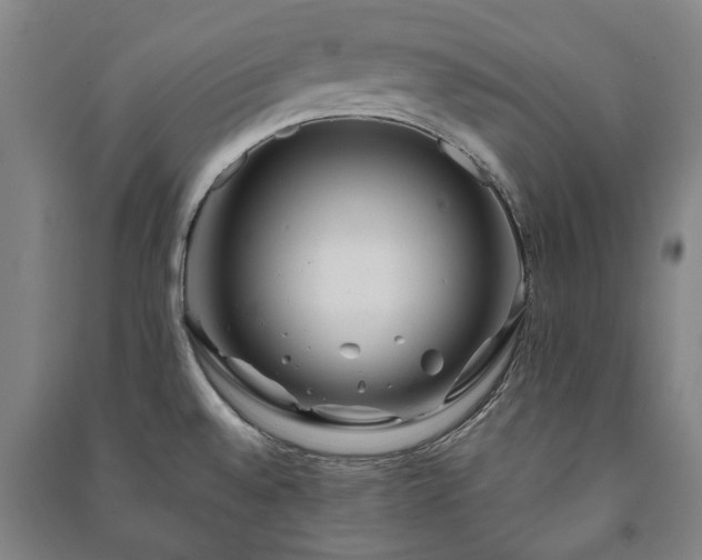 X0000091211528200708161532