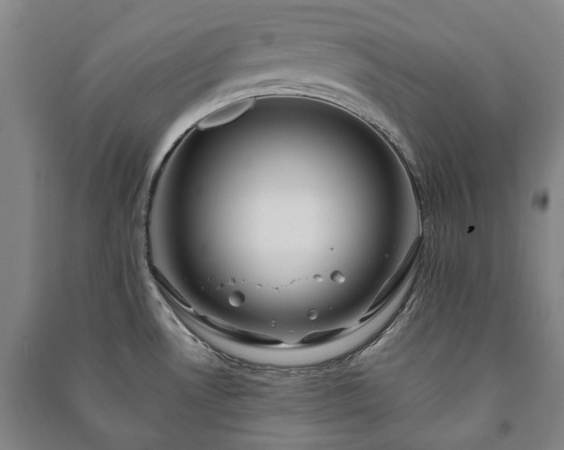 X0000091211530200708161532