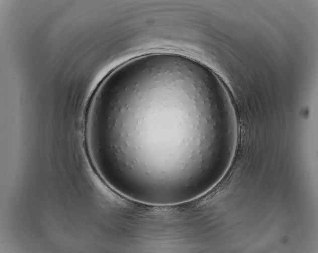 X0000091211531200708161532