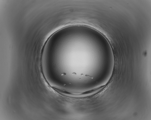 X0000091211534200708161532
