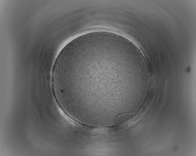 X0000091211535200708161532