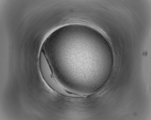 X0000091211536200708161532