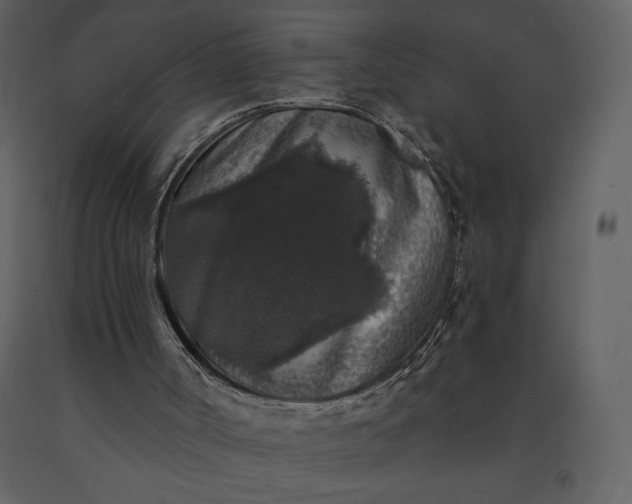 X0000091210002200708231618