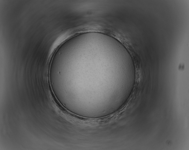 X0000091210004200708231618