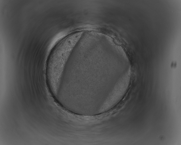 X0000091210006200708231618