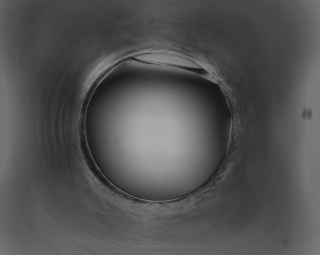 X0000091210007200708231618