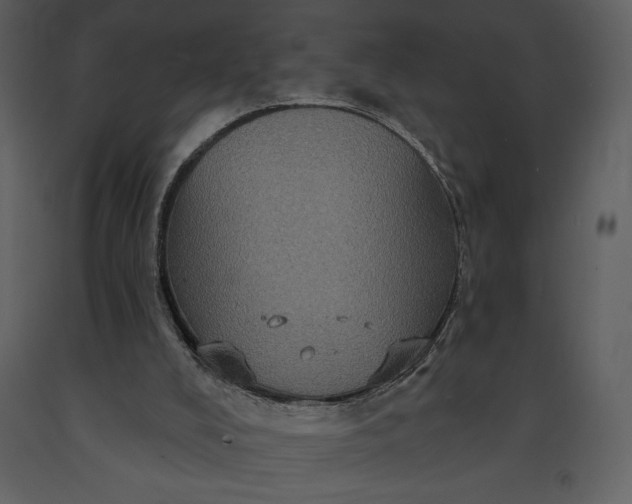 X0000091210008200708231618