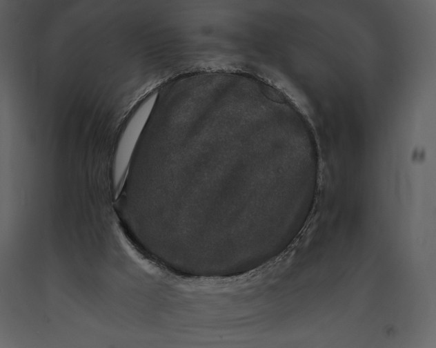 X0000091210009200708231618