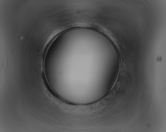 X0000091210011200708231618