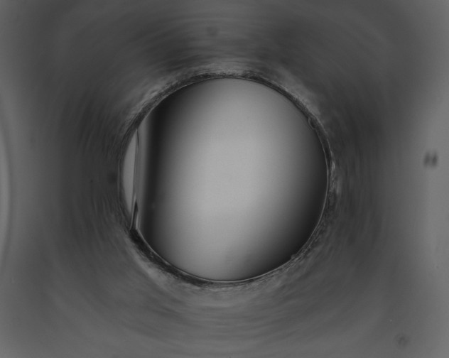 X0000091210013200708231618