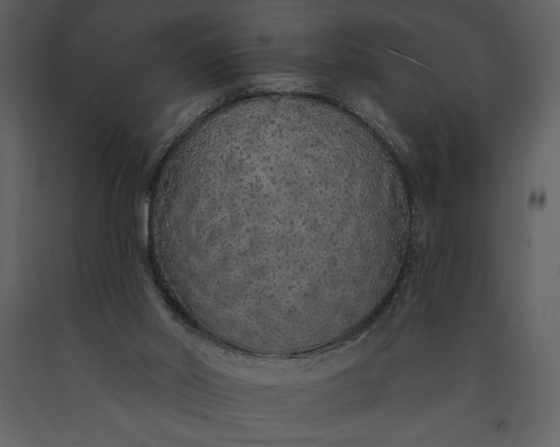 X0000091210014200708231618