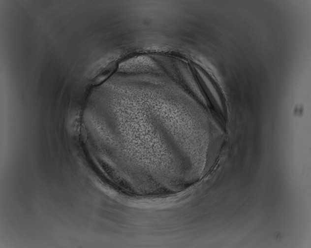 X0000091210017200708231618