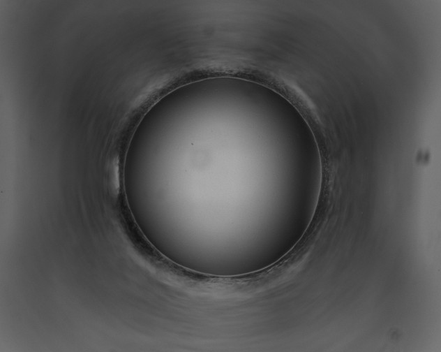 X0000091210020200708231618