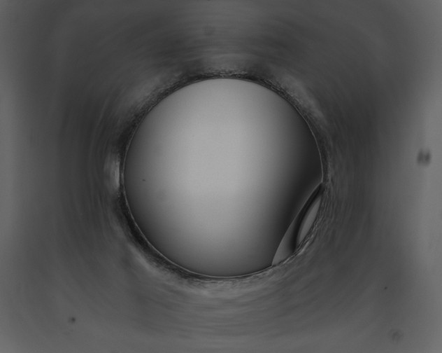 X0000091210021200708231618