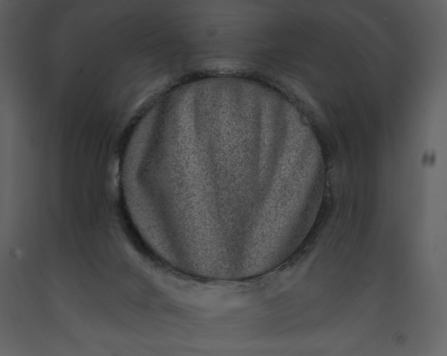 X0000091210024200708231618