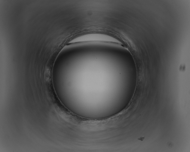 X0000091210025200708231618