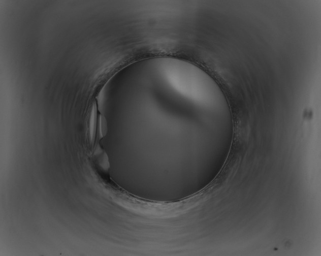 X0000091210027200708231618