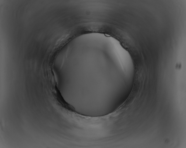 X0000091210031200708231618