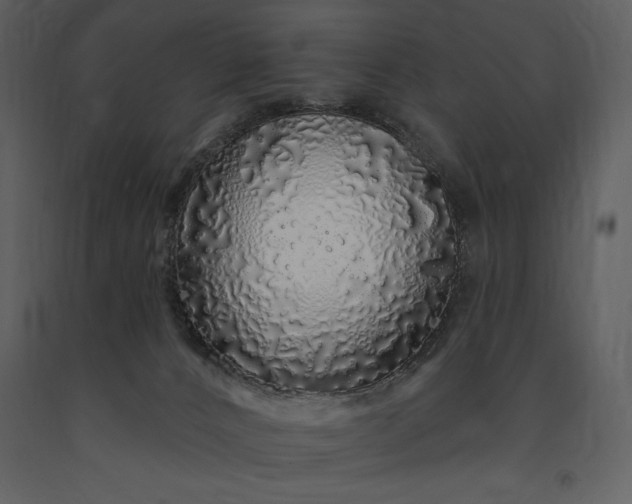 X0000091210032200708231618