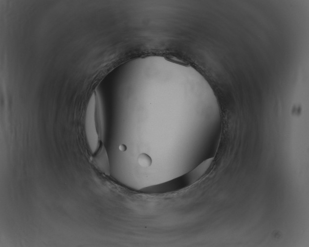 X0000091210033200708231618