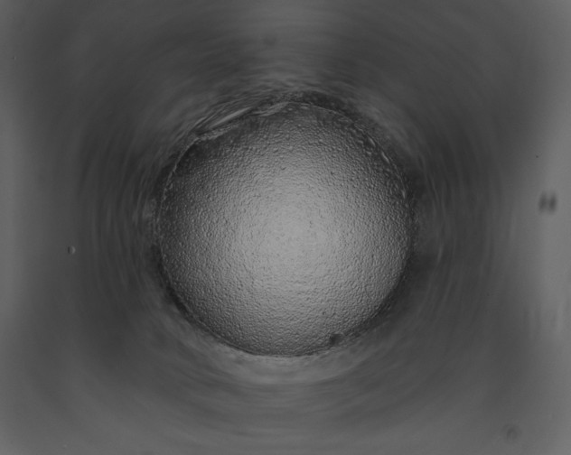 X0000091210034200708231618