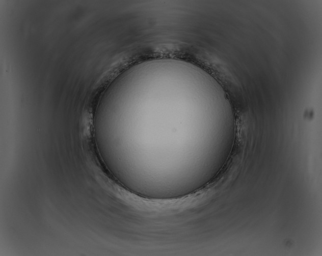 X0000091210038200708231618