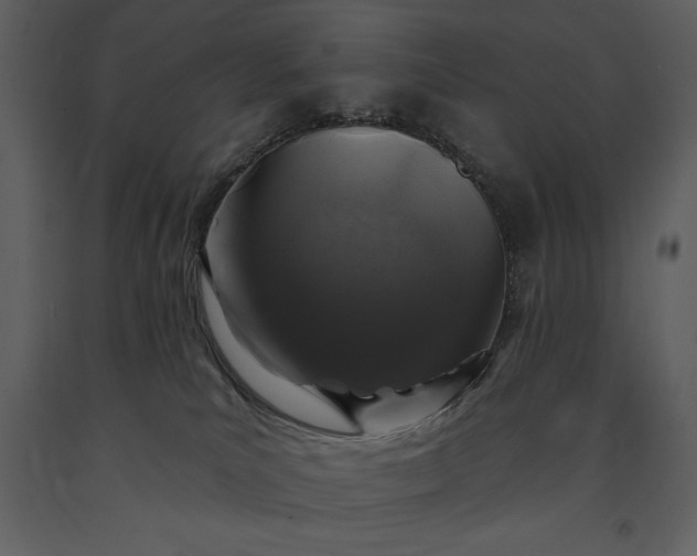 X0000091210039200708231618