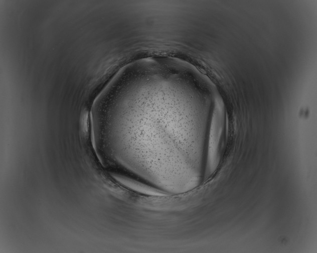 X0000091210041200708231618