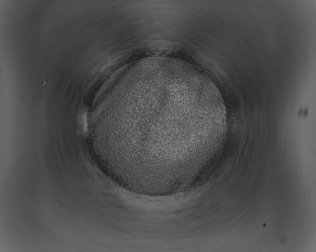 X0000091210042200708231618