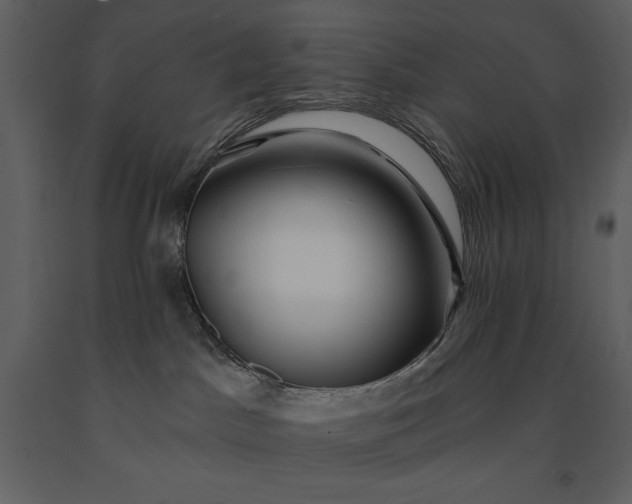 X0000091210045200708231618