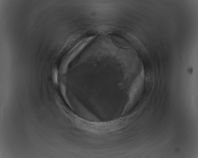 X0000091210046200708231618