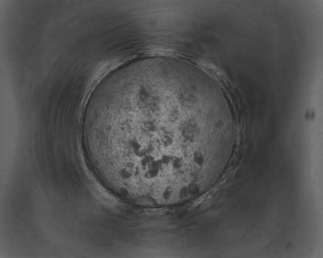 X0000091210049200708231617