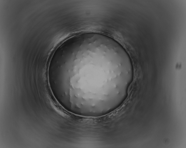 X0000091210050200708231617