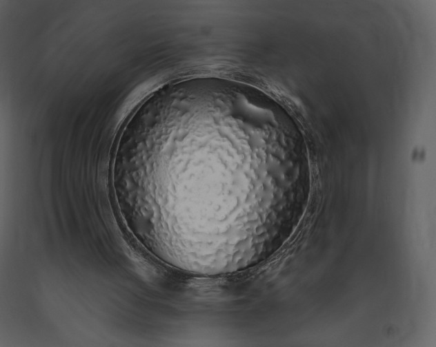 X0000091210051200708231617