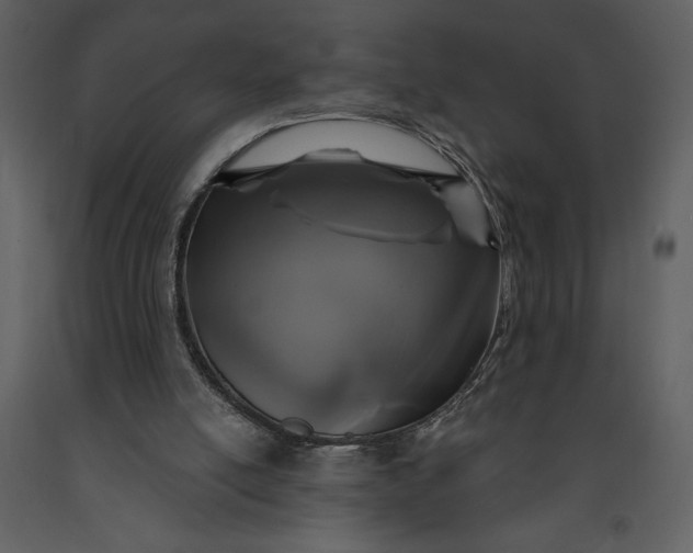 X0000091210054200708231617