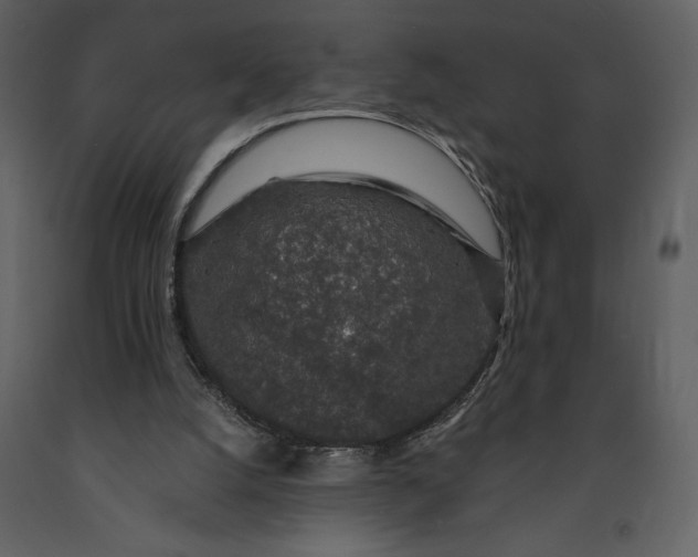 X0000091210056200708231617