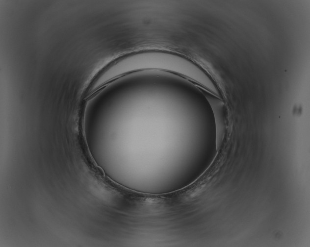 X0000091210060200708231617