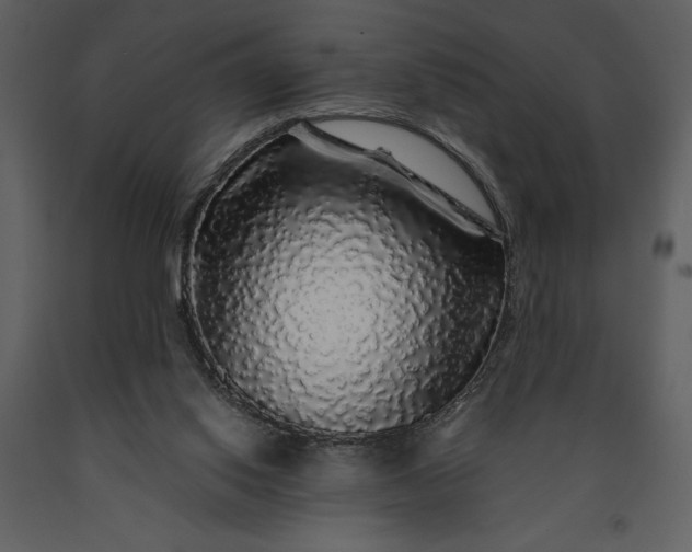 X0000091210062200708231617