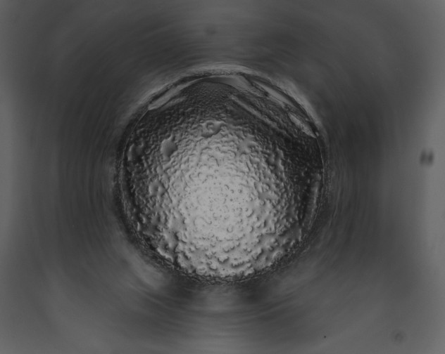 X0000091210063200708231617